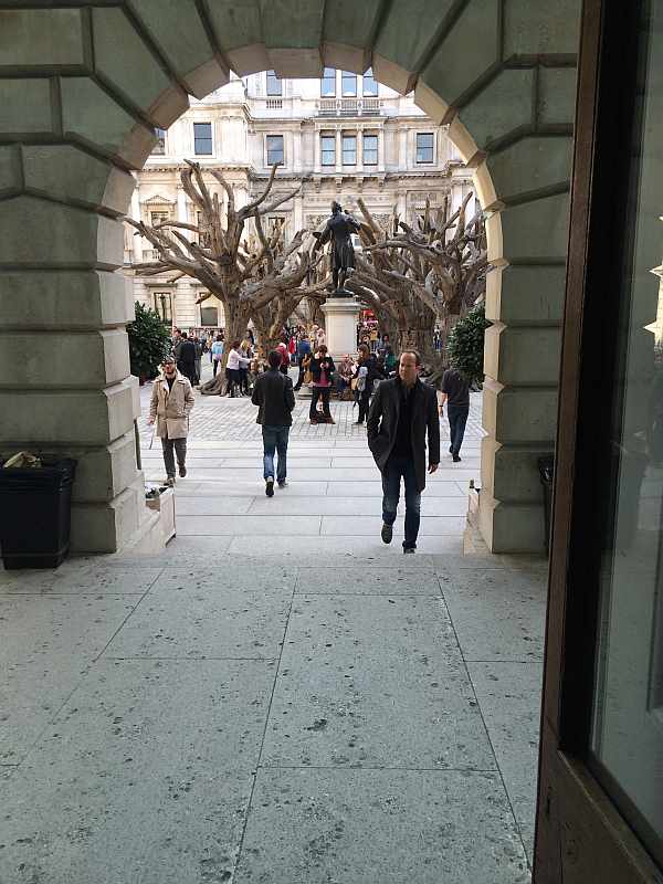 Ai Weiwei trees , Courtyard of Royal Academy of Arts, London 2015