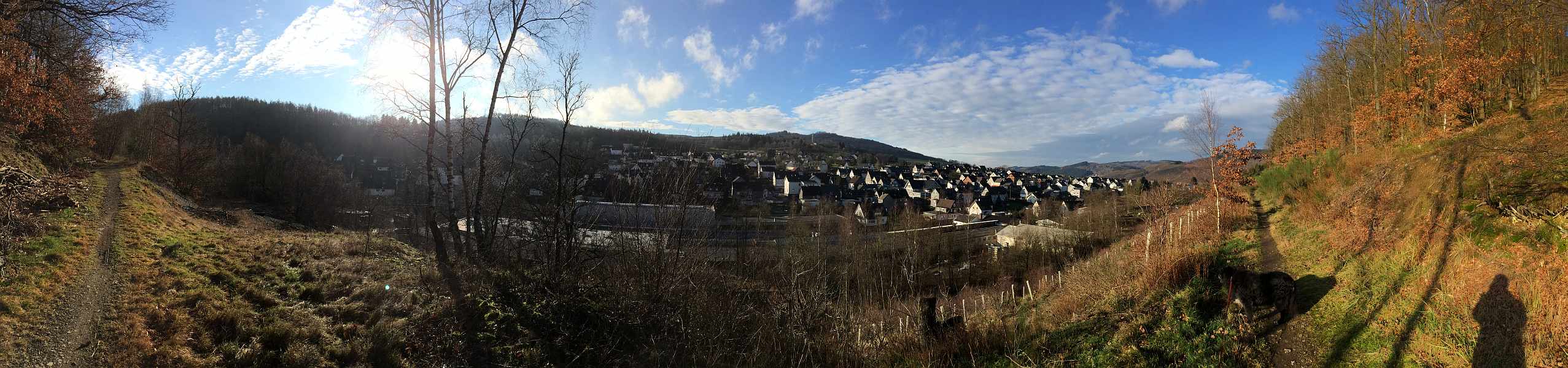 Panorama Altenseelbach 2015 2500_600